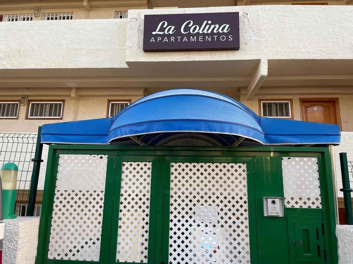 San Agustin Seaview Blue Apartment 马斯帕洛马斯 西班牙