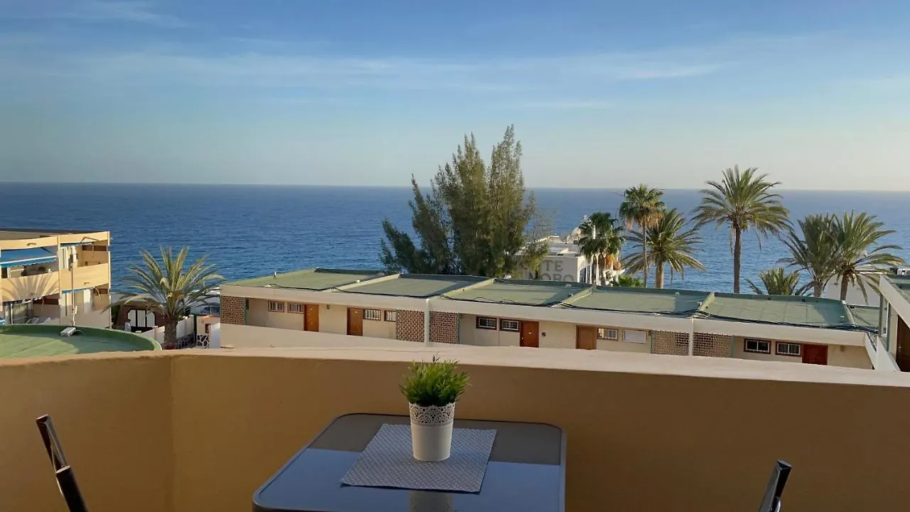 San Agustin Seaview Blue Apartment 马斯帕洛马斯