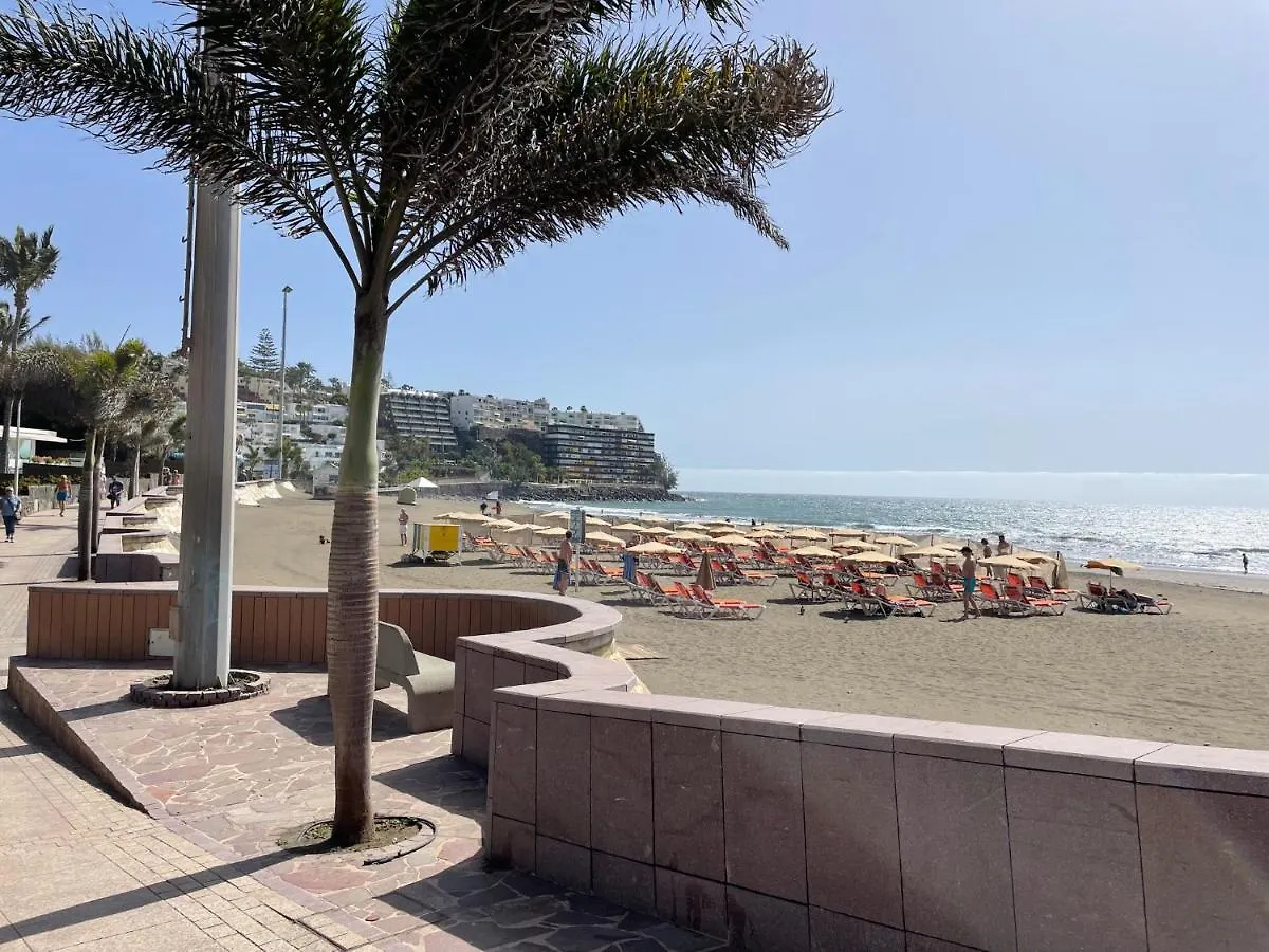 San Agustin Seaview Blue Apartment 马斯帕洛马斯 0*,