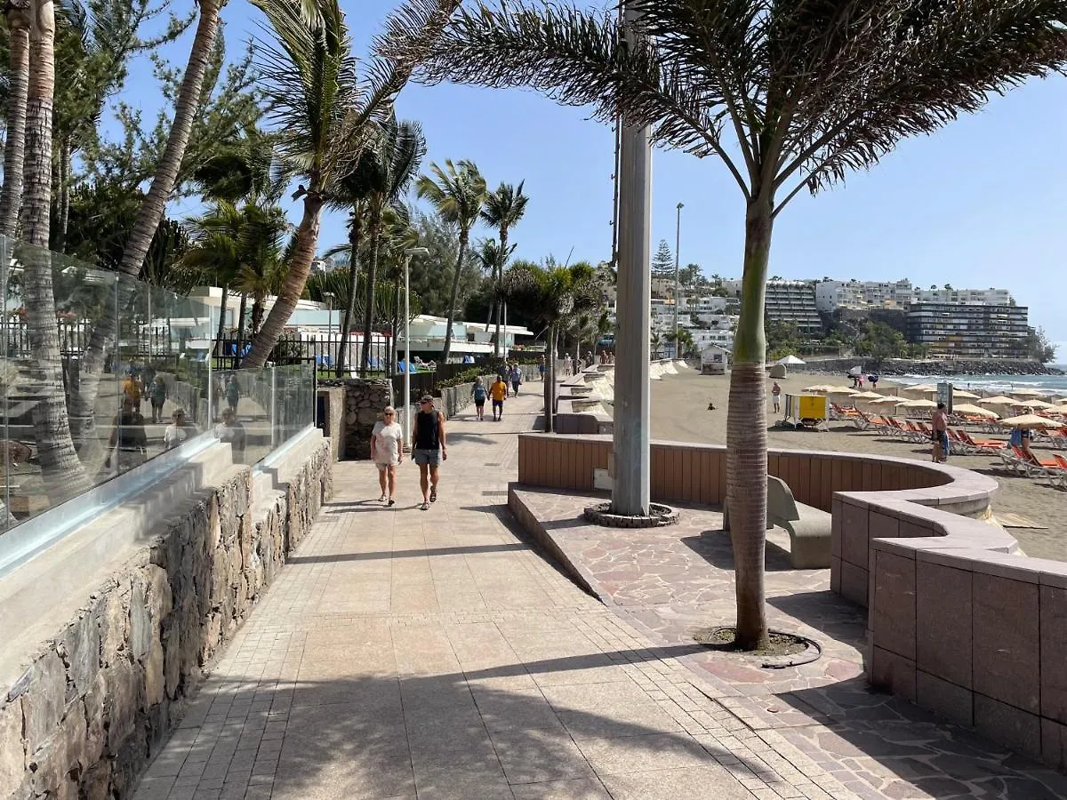 San Agustin Seaview Blue Apartment 马斯帕洛马斯