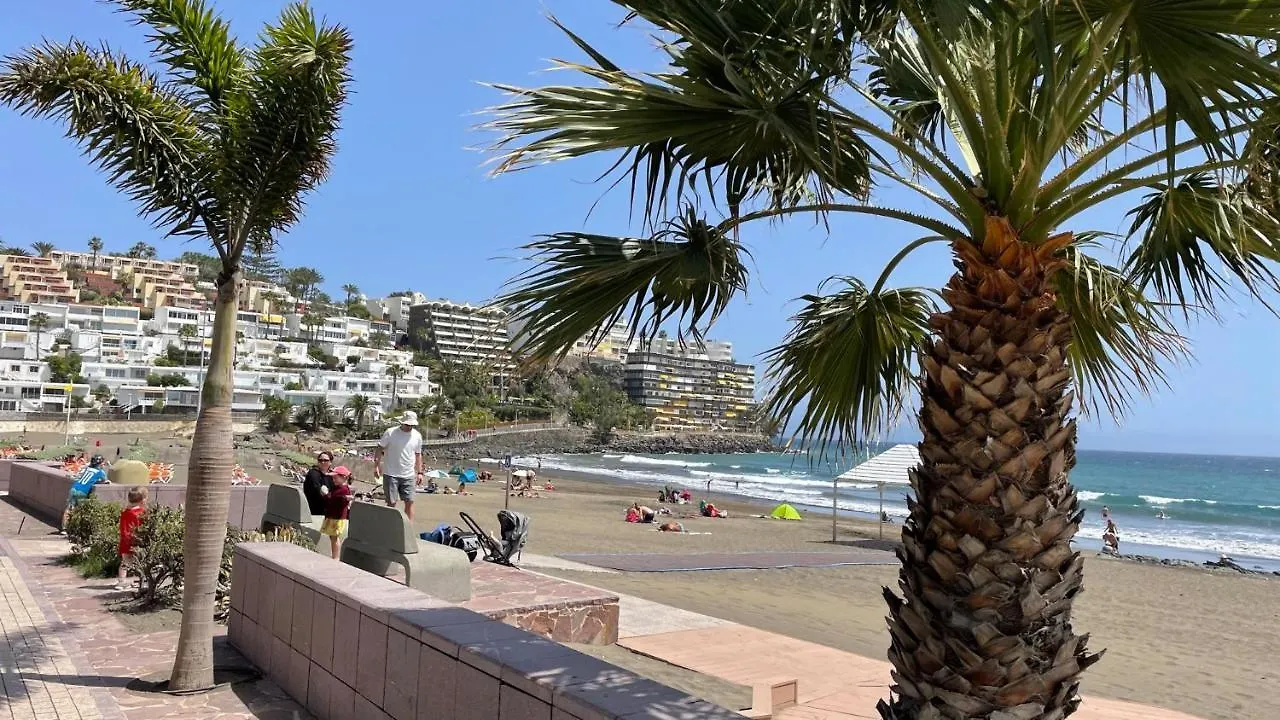 San Agustin Seaview Blue Apartment 马斯帕洛马斯 0*,