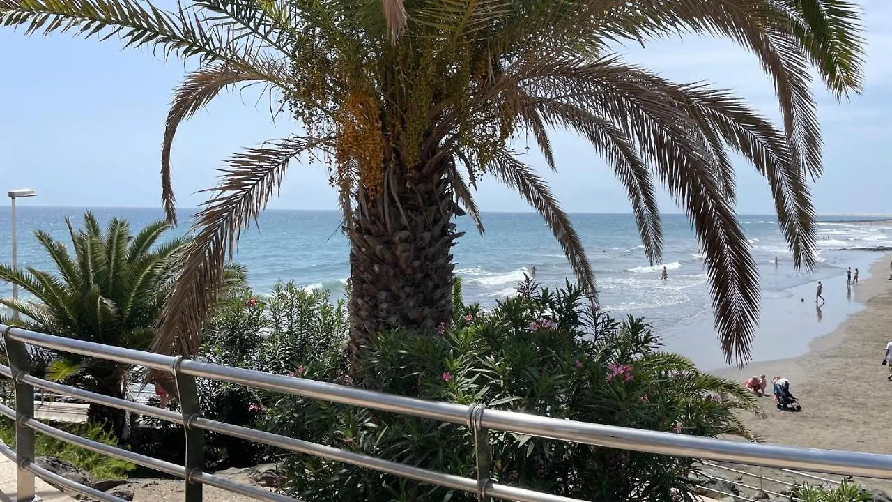 San Agustin Seaview Blue Apartment 马斯帕洛马斯