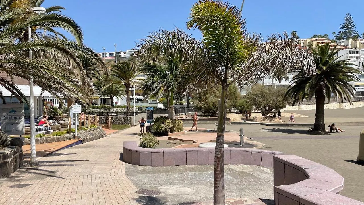 San Agustin Seaview Blue Apartment 马斯帕洛马斯
