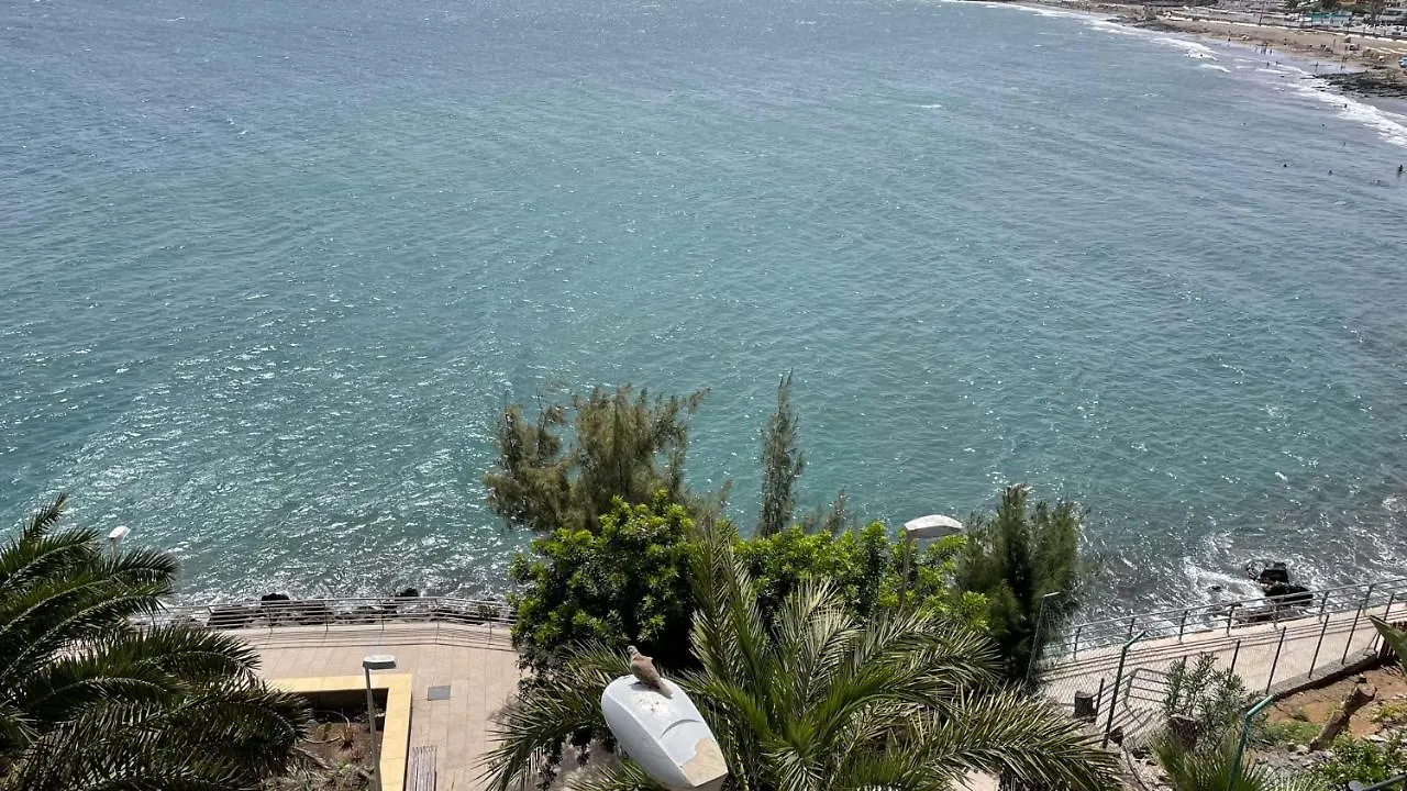 San Agustin Seaview Blue Apartment 马斯帕洛马斯